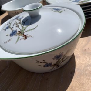 Services Vaisselles Fleuries Bleu (Occasion)