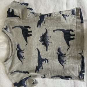 Tee shirt Dinausores gris