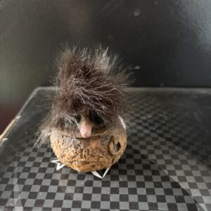 TROLL BOY DANS UNE MARMITTE