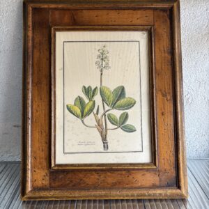 Cadre en bois "Scarfano Trifoglio Fibrino"